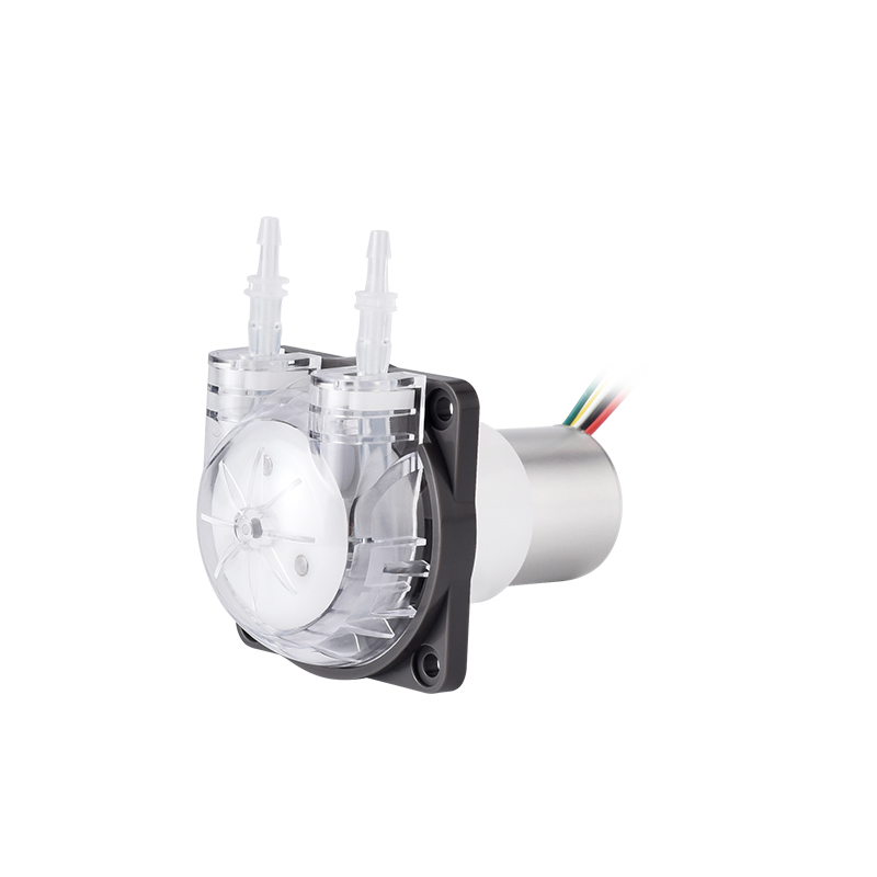 PENGPU Mikro Peristaltik Pompa - Mini Peristaltic Pump 12V incelemesi ve fiyatı